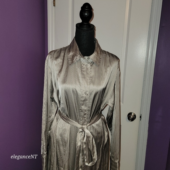 H & M Silver Striped Long Sleeve Button Down Dress Sz: L NWT - Picture 10 of 10